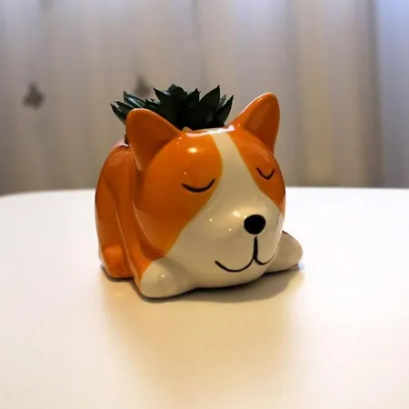 Kubiq By Coresi Apartamento